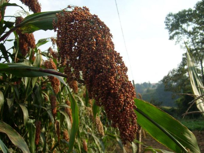 圖片2.jpg 圖片2.jpg