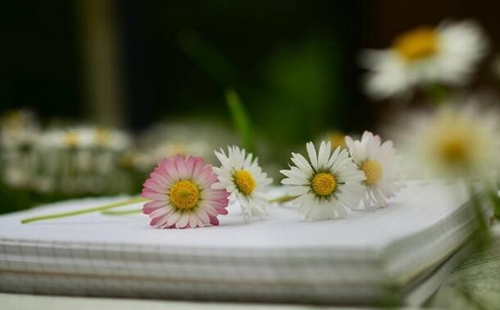 QQ截圖20181229091113.jpg QQ截圖20181229091113.jpg